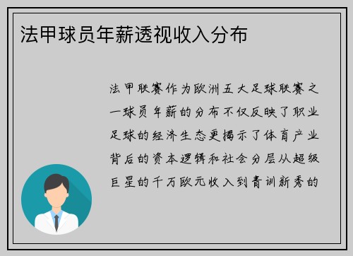 法甲球员年薪透视收入分布